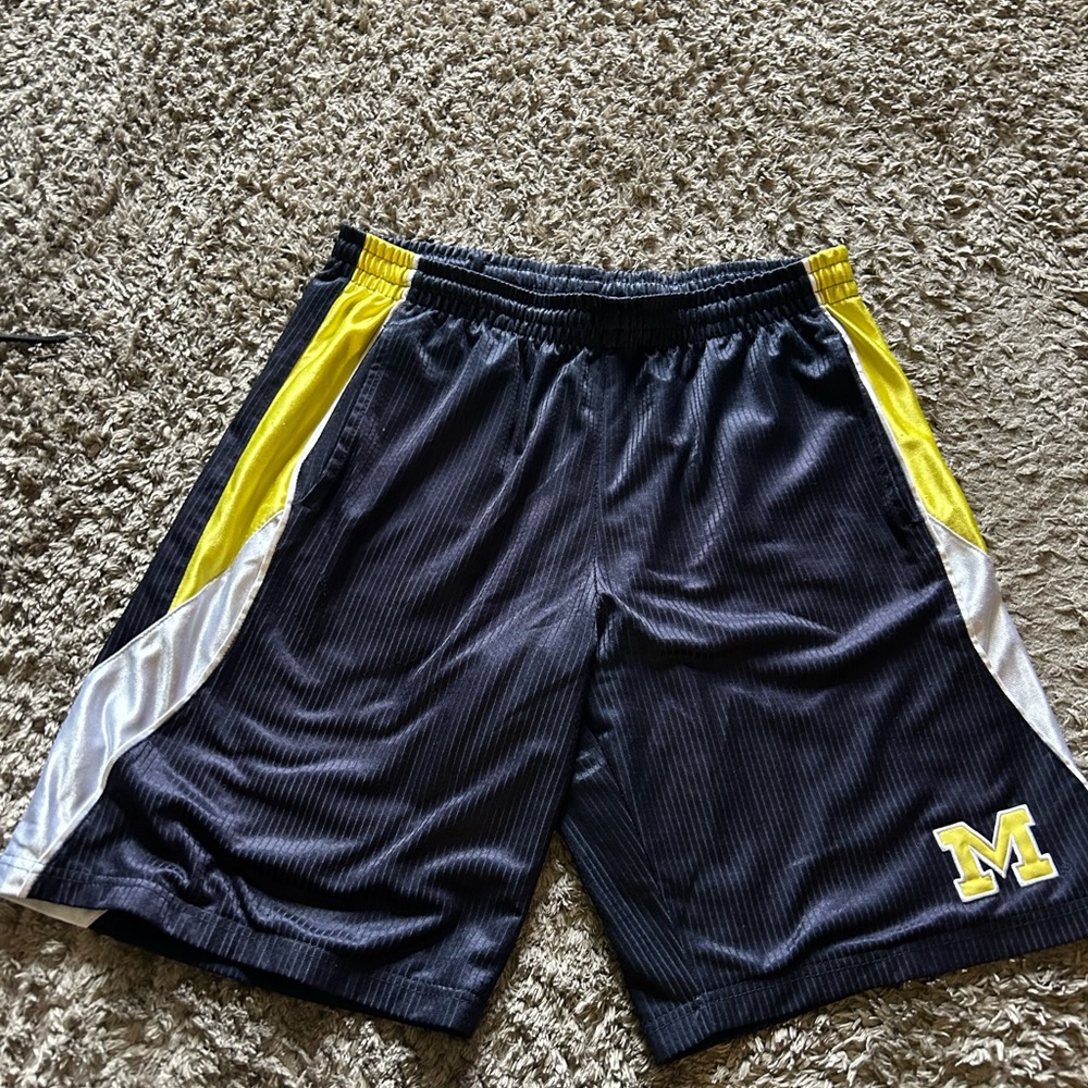 Vintage Michigan athletic/basketball shorts, Collosseum Athletics size L